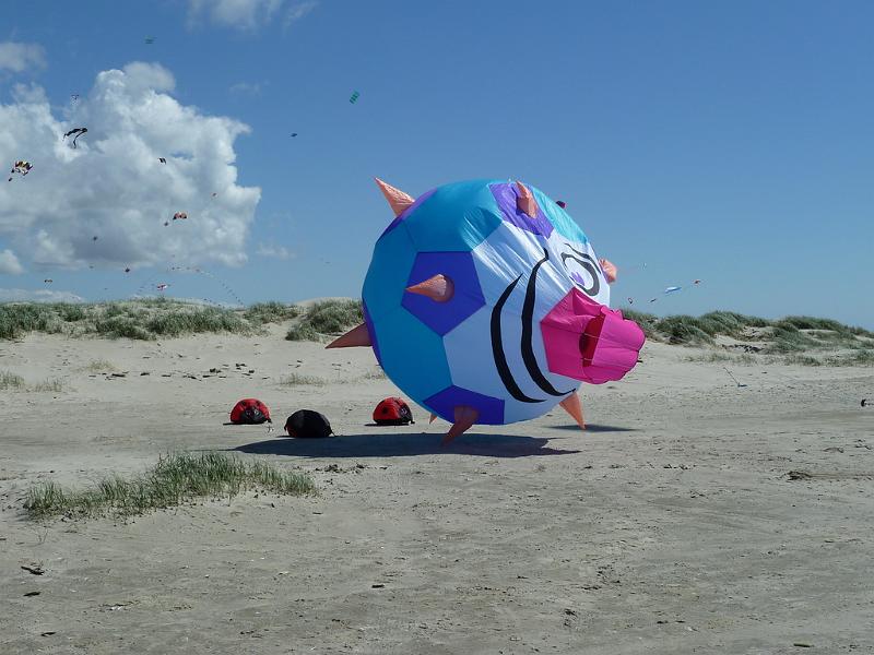 Fanø 2010 038.JPG